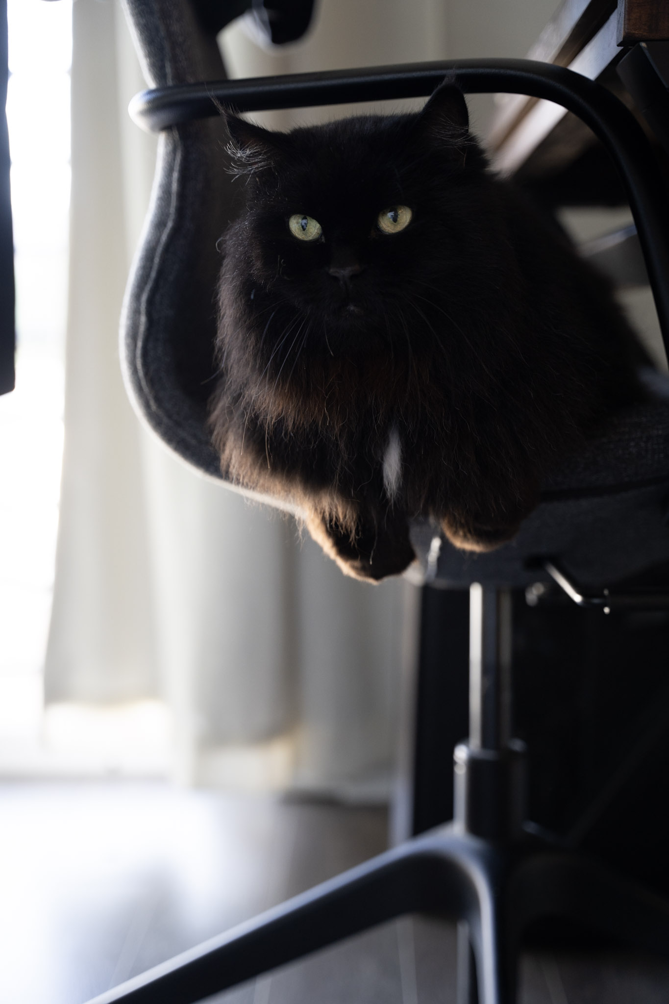 KitKat - foto 87