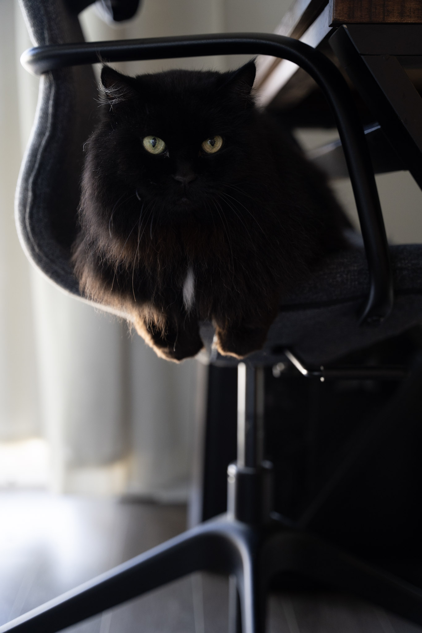 KitKat - foto 88