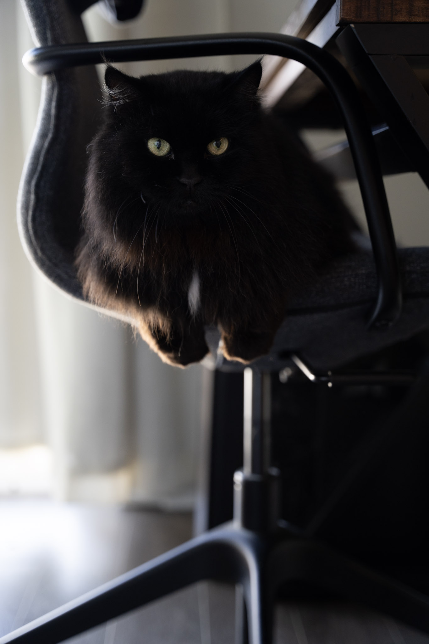 KitKat - foto 89