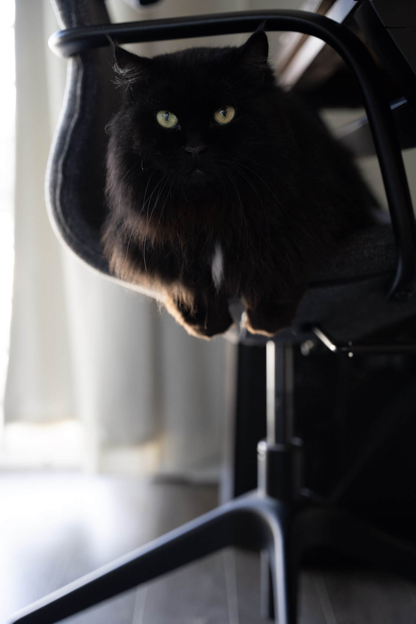 KitKat - foto 90