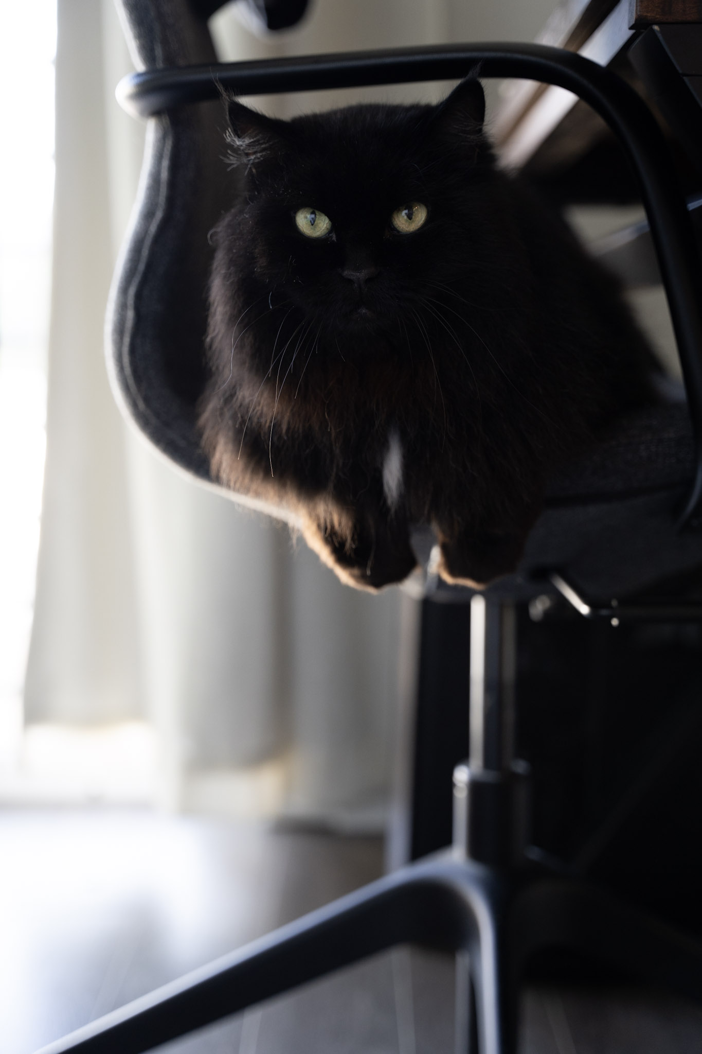 KitKat - foto 91