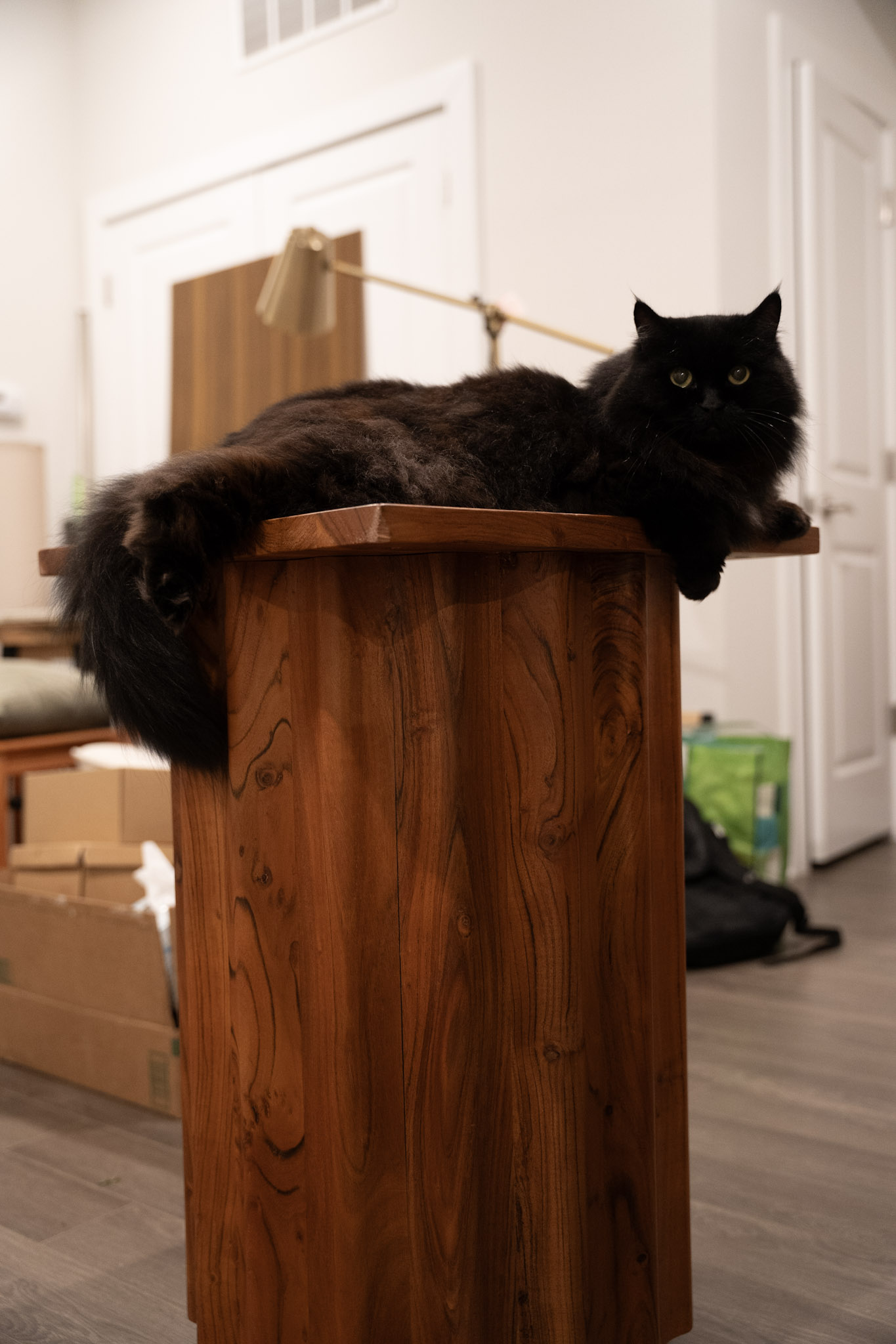 KitKat - foto 106