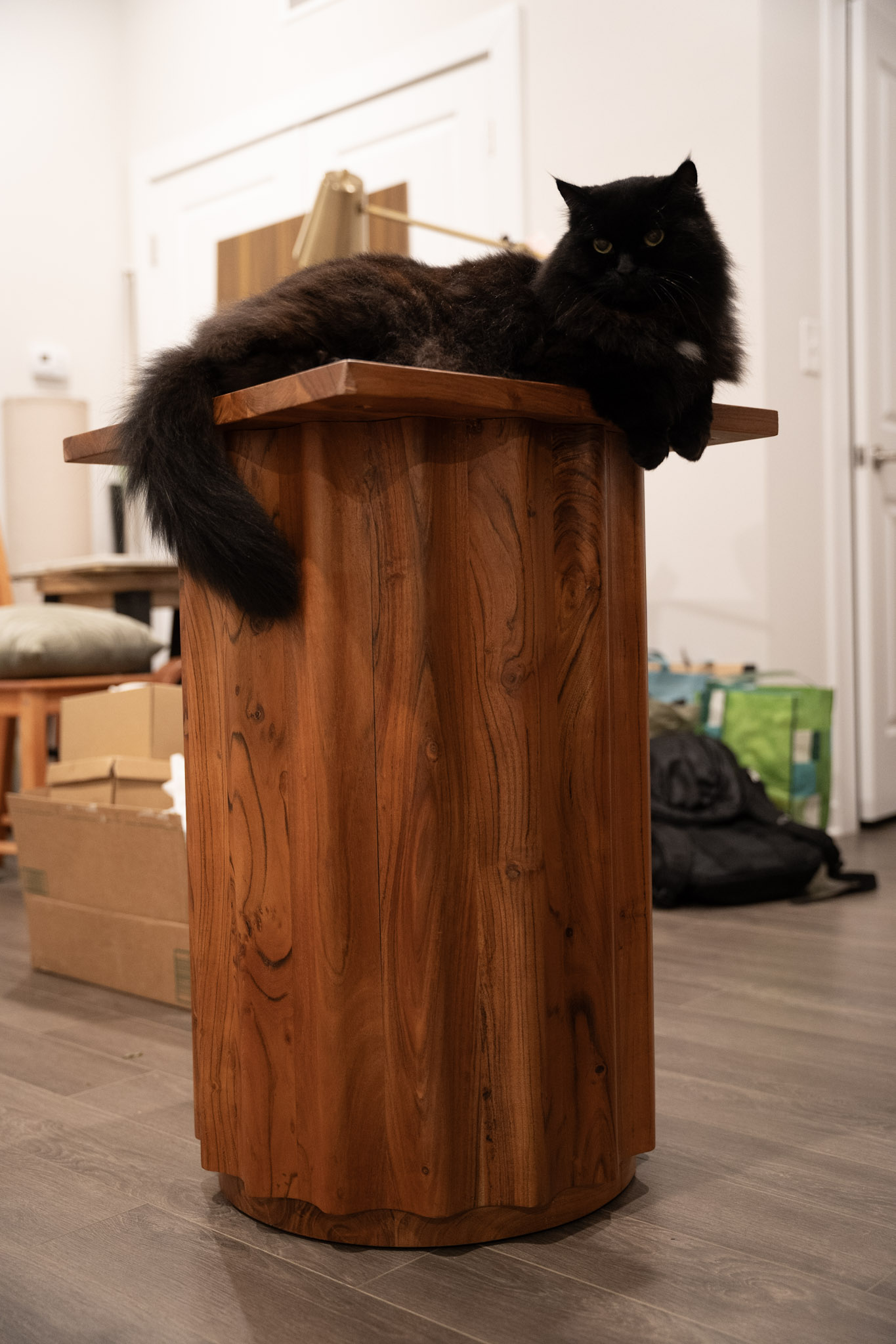 KitKat - foto 109