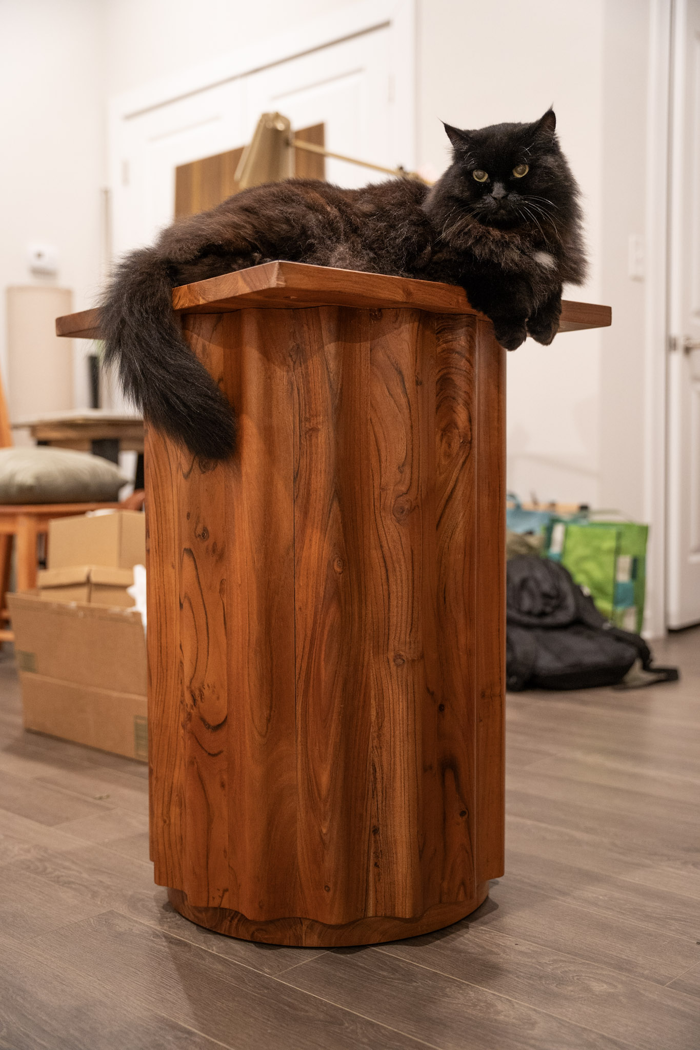 KitKat - foto 111