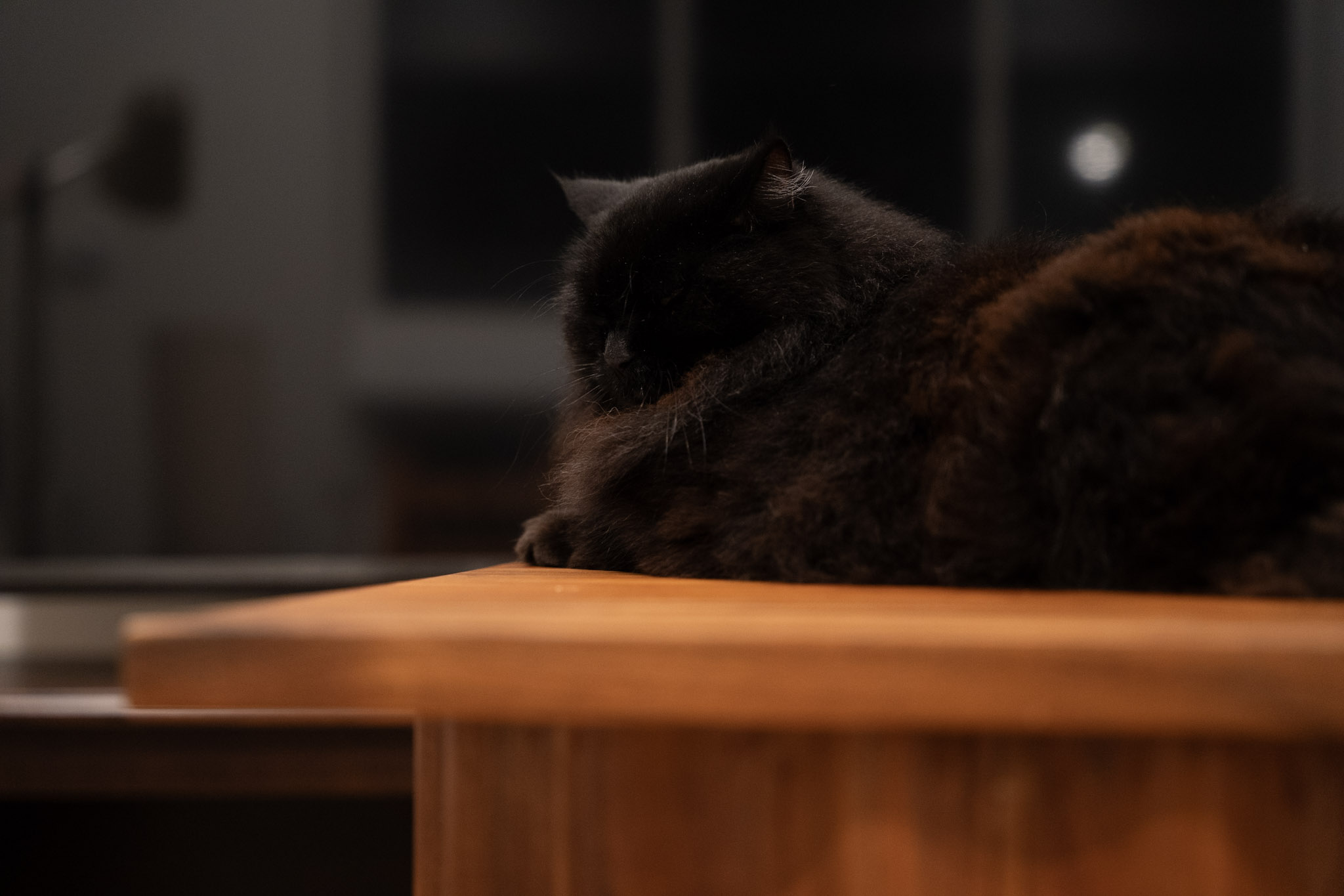 KitKat - foto 112