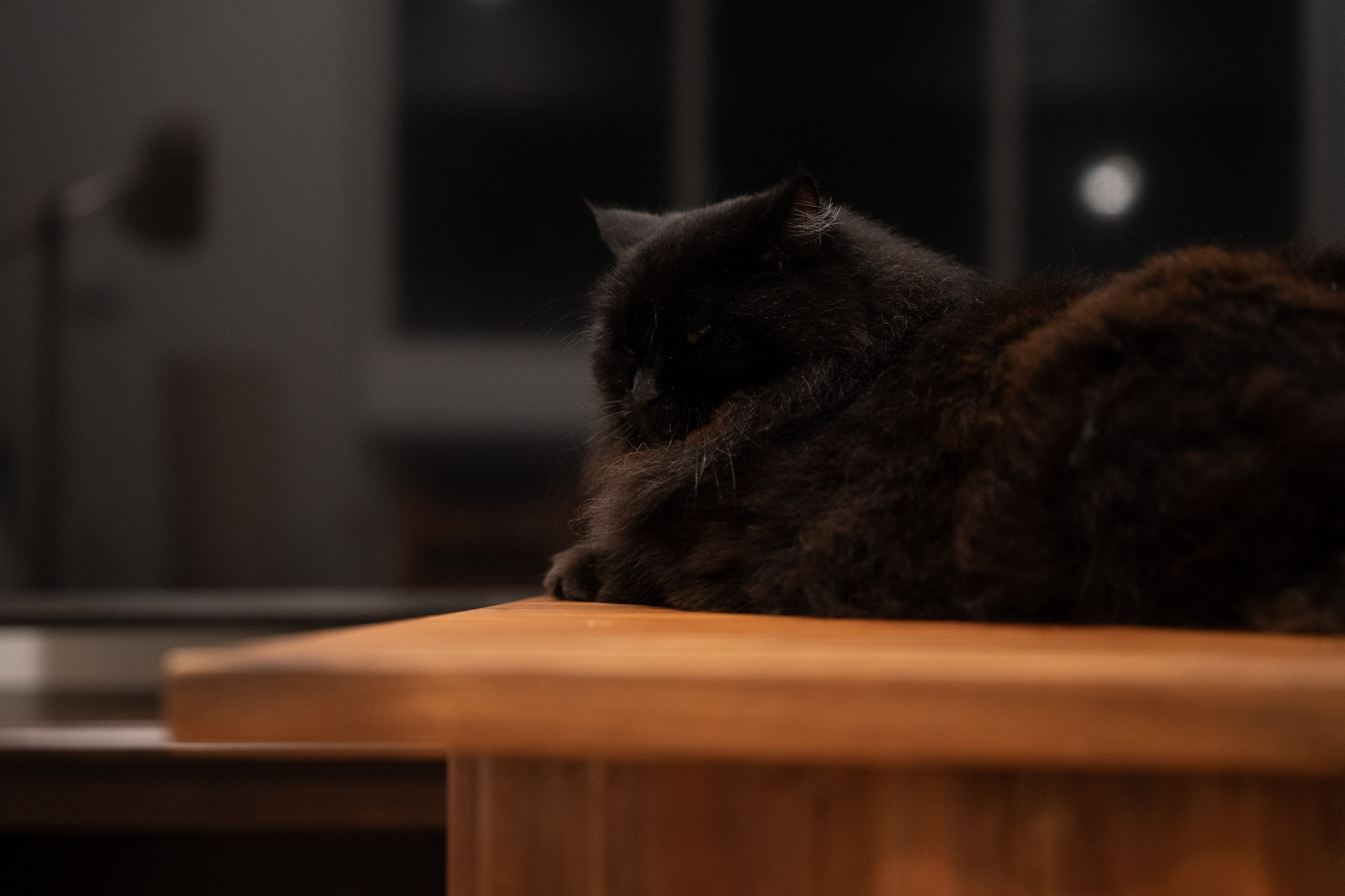 KitKat - foto 113