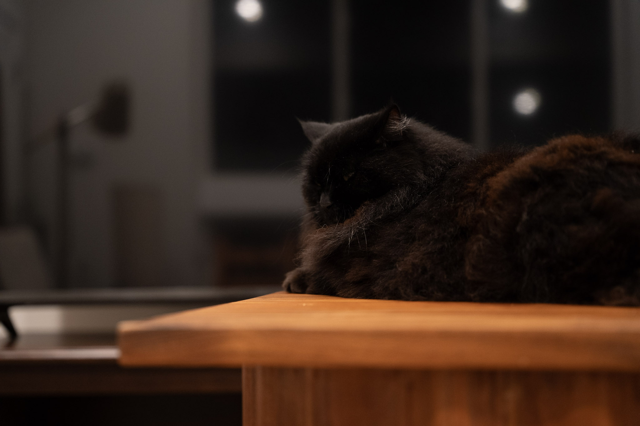 KitKat - foto 114