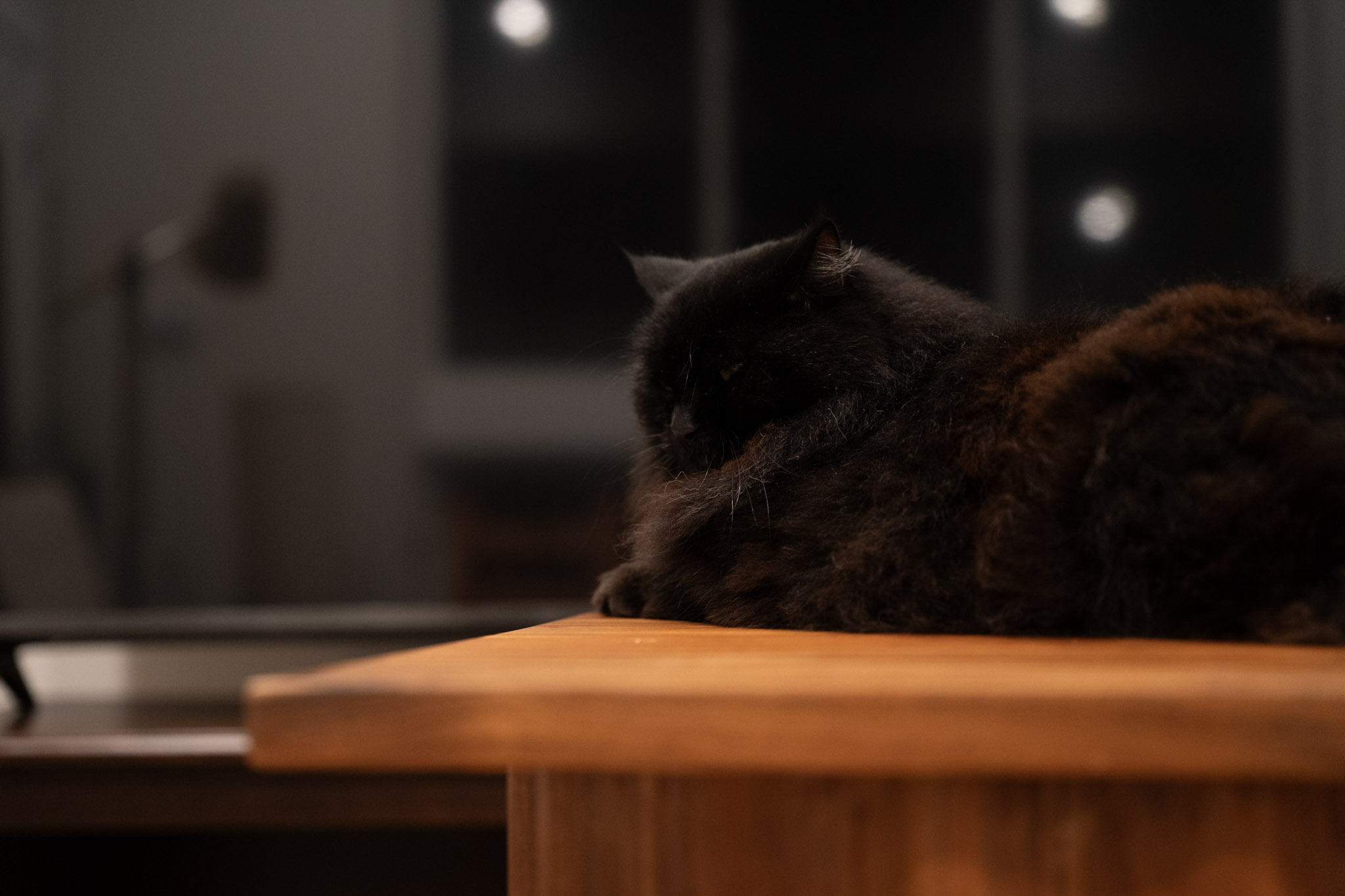 KitKat - foto 115