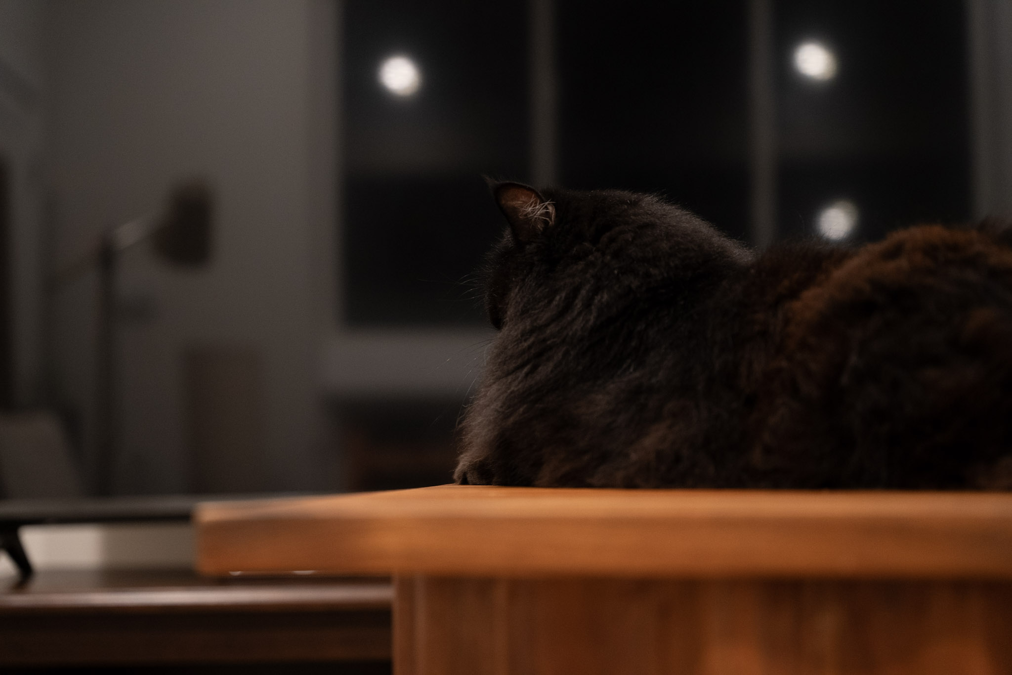 KitKat - foto 116