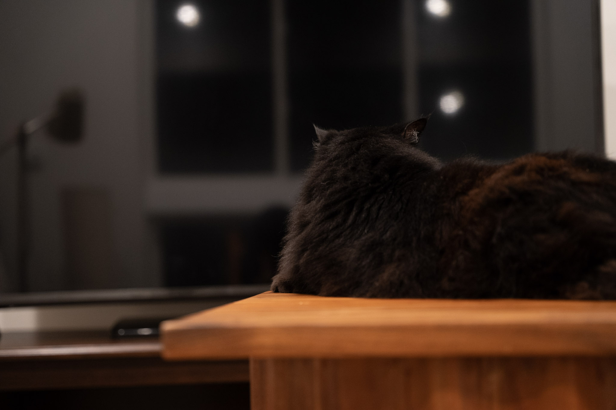 KitKat - foto 117