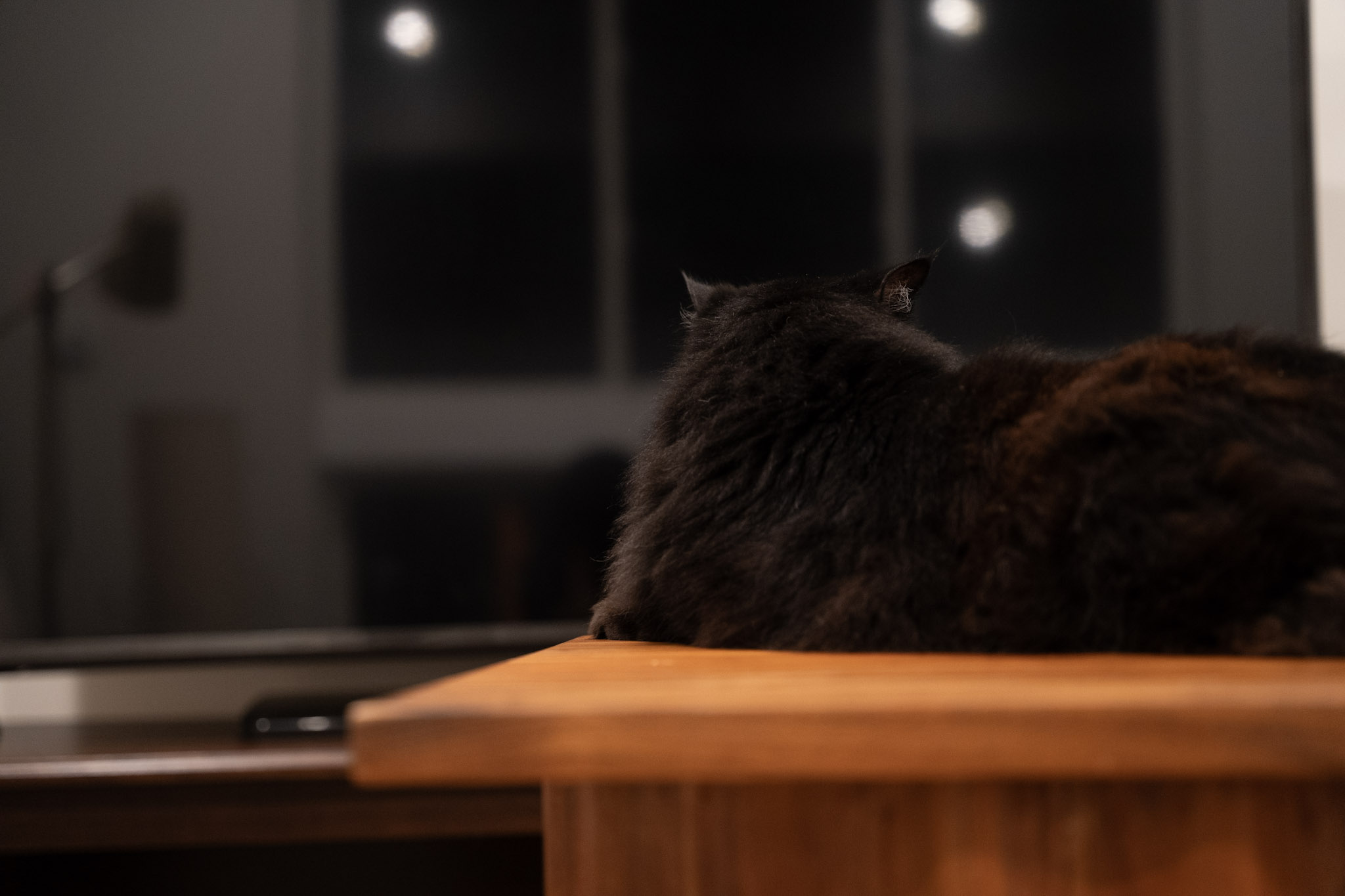 KitKat - foto 118