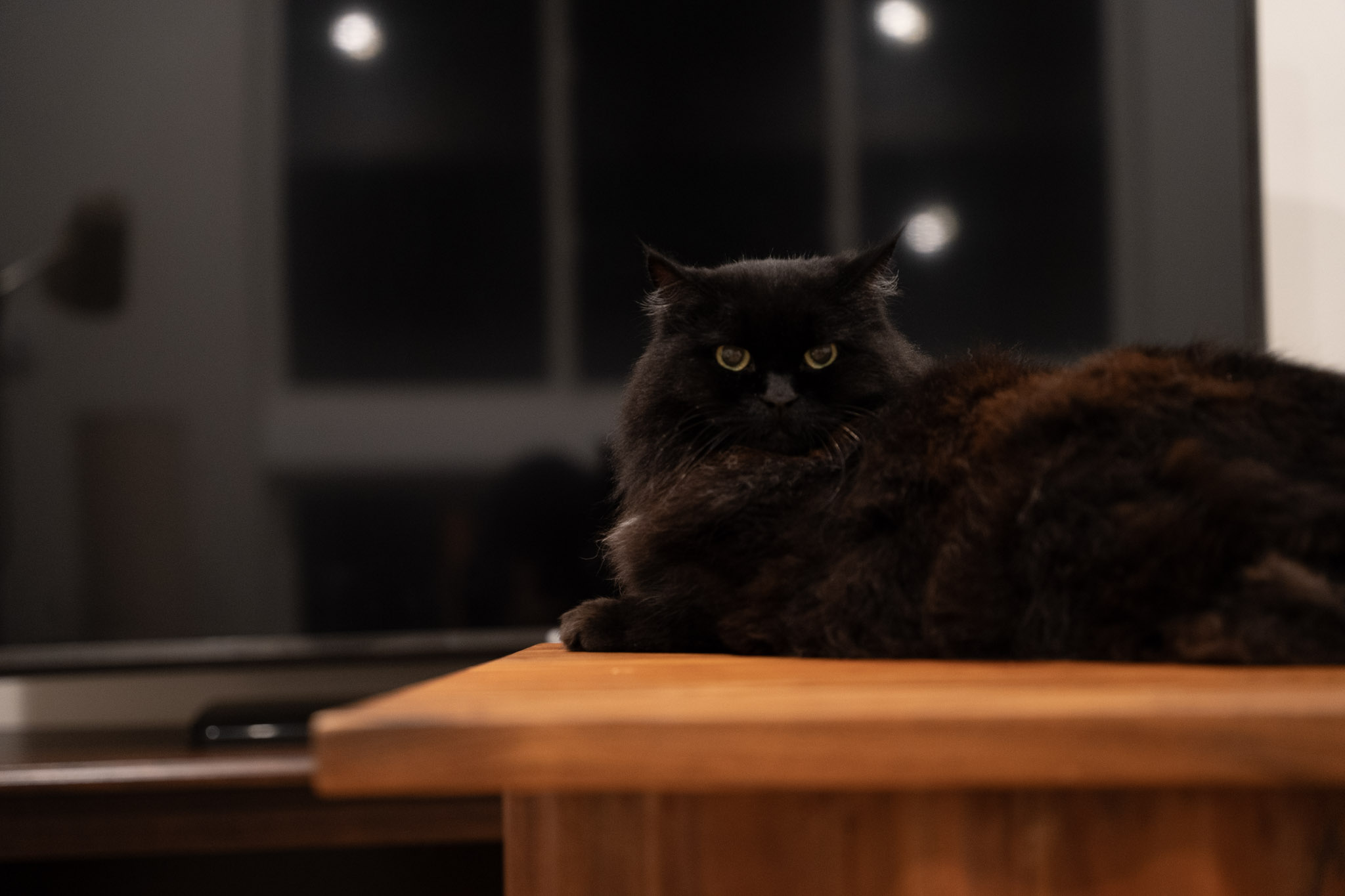 KitKat - foto 119