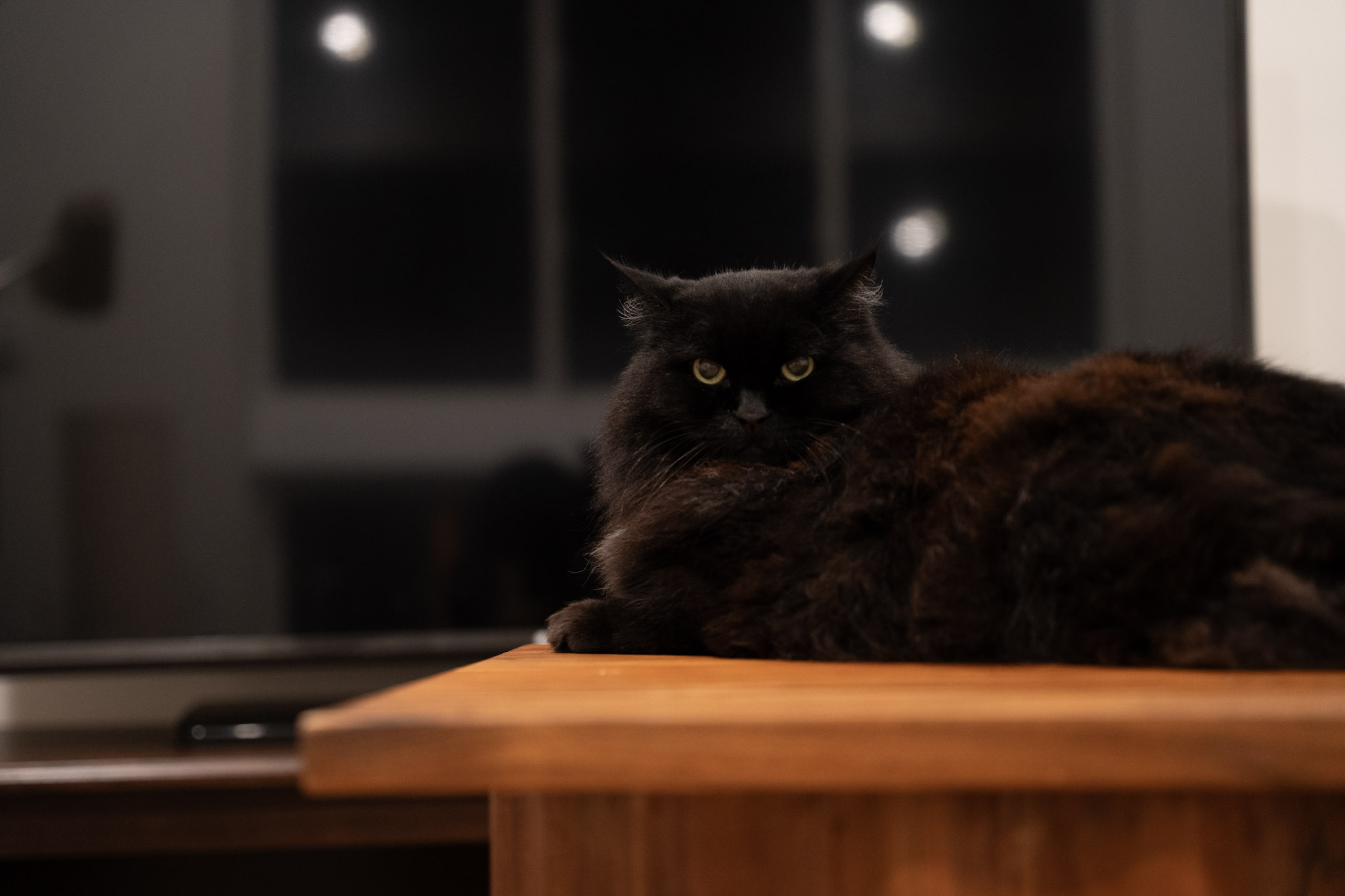 KitKat - foto 120