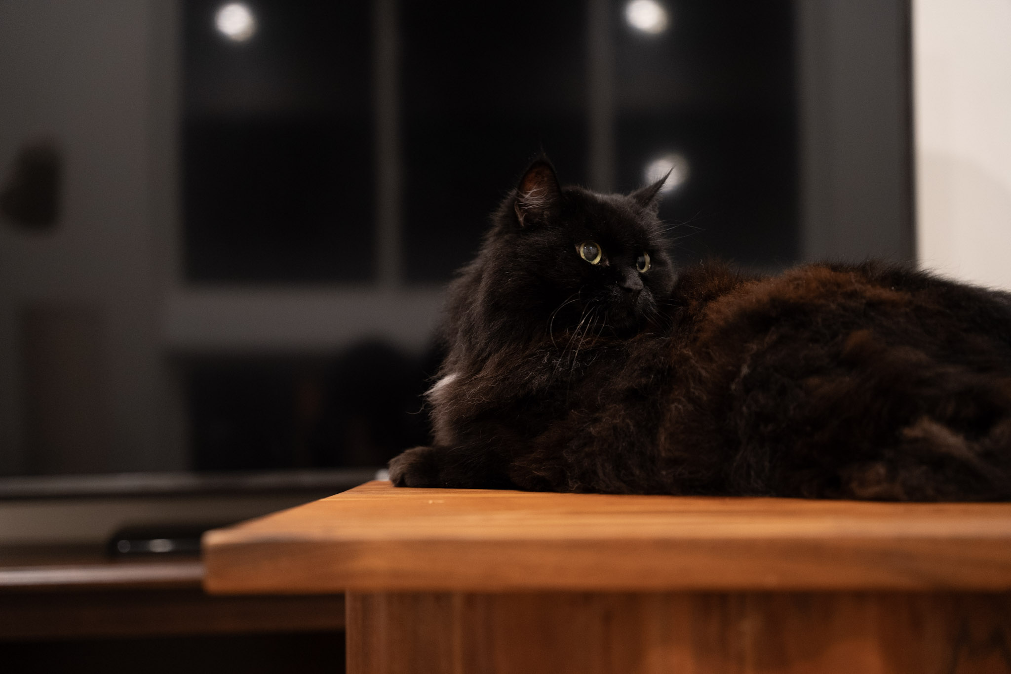 KitKat - foto 121