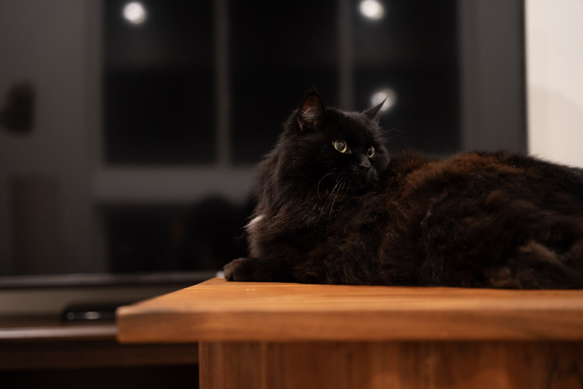 KitKat - foto 122
