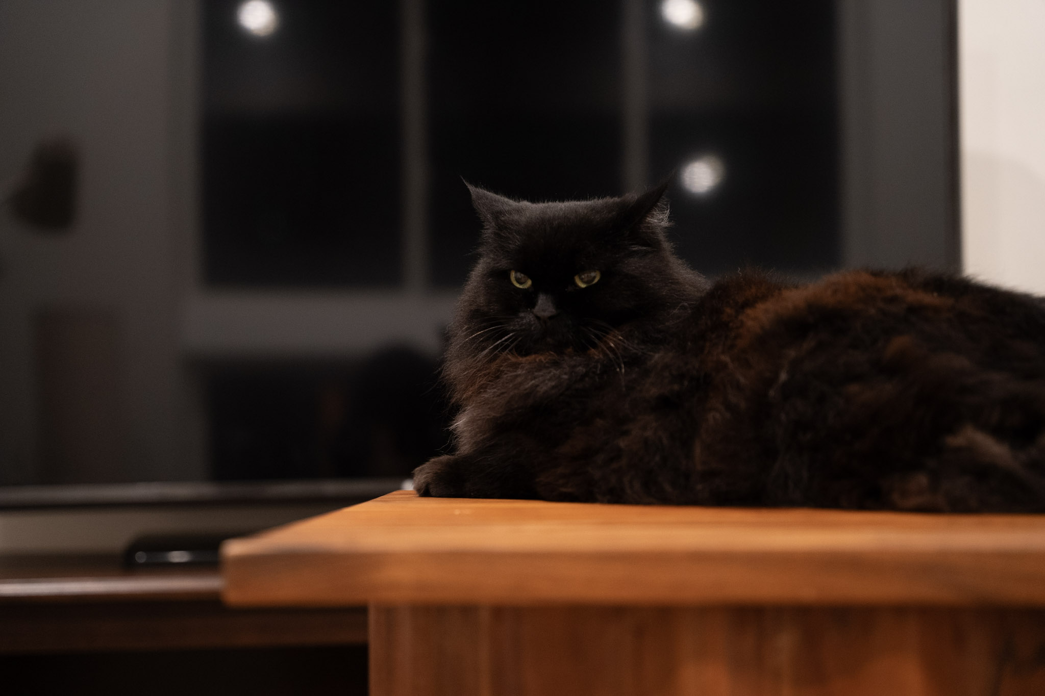 KitKat - foto 123