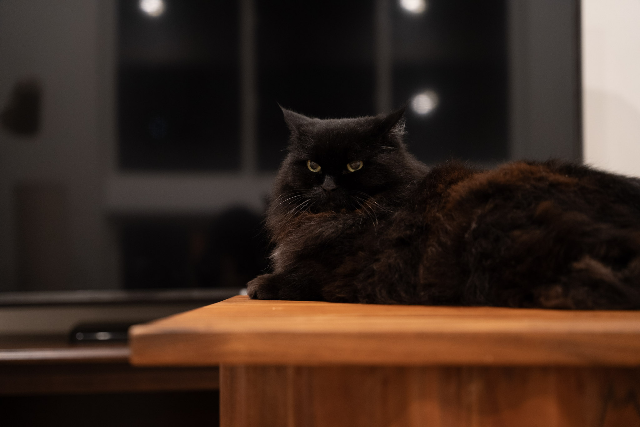 KitKat - foto 124