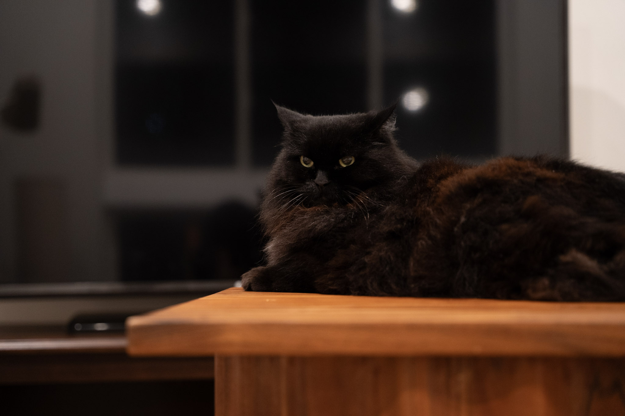 KitKat - foto 125