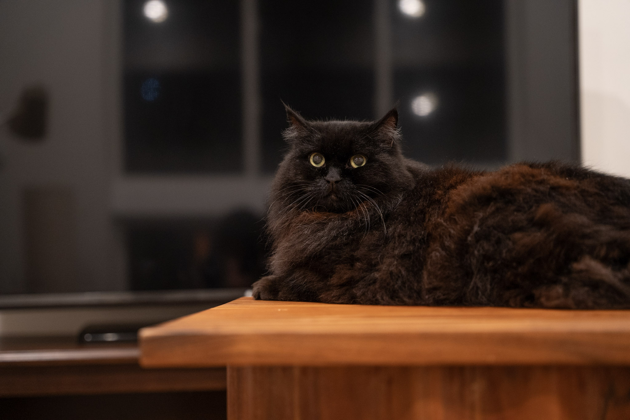 KitKat - foto 126