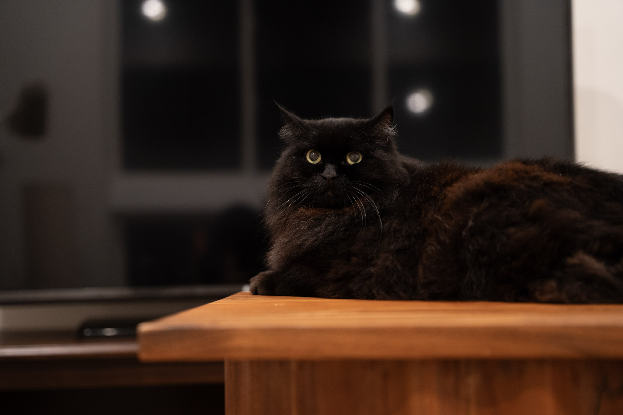 KitKat - foto 128