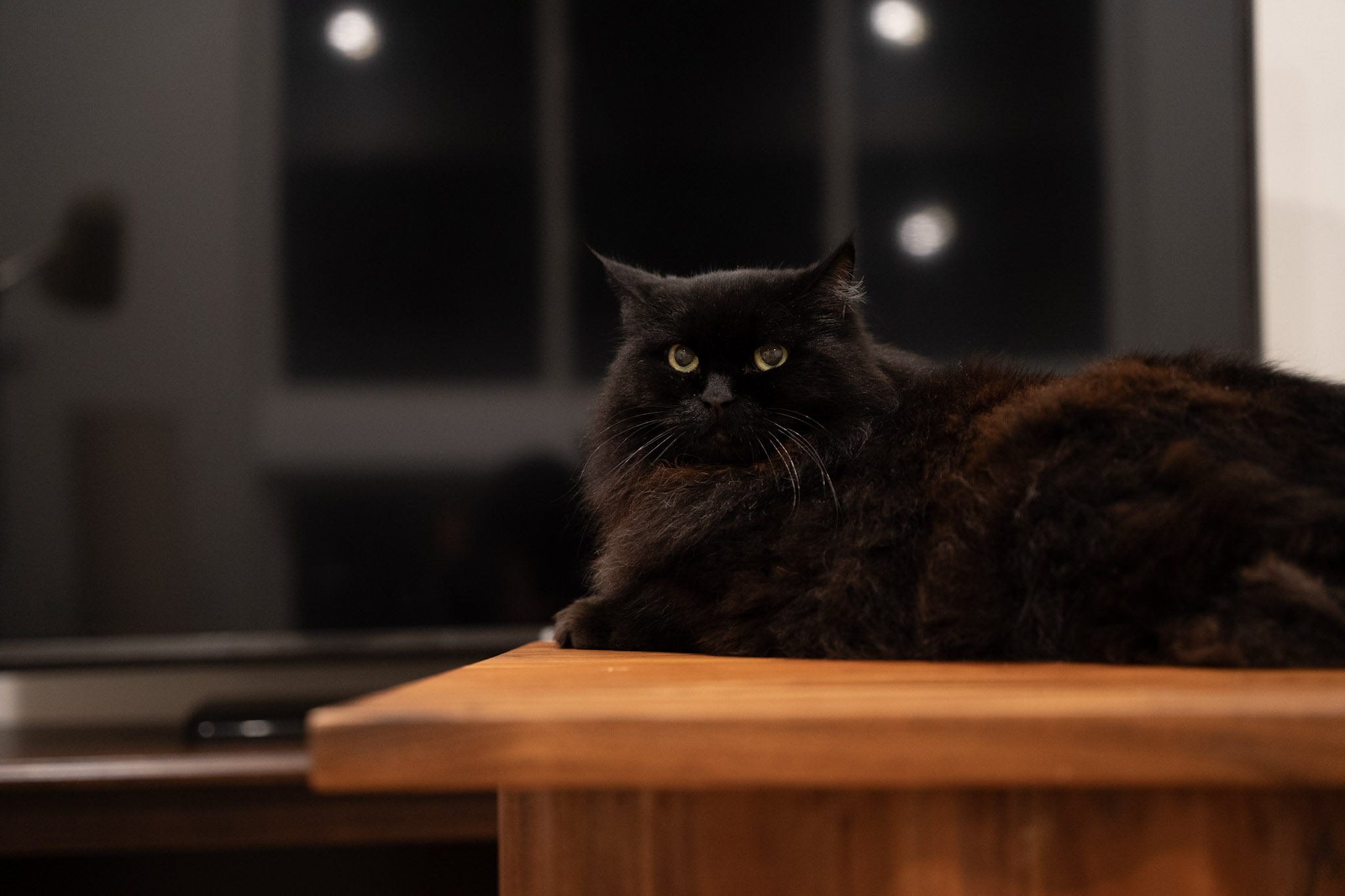 KitKat - foto 129