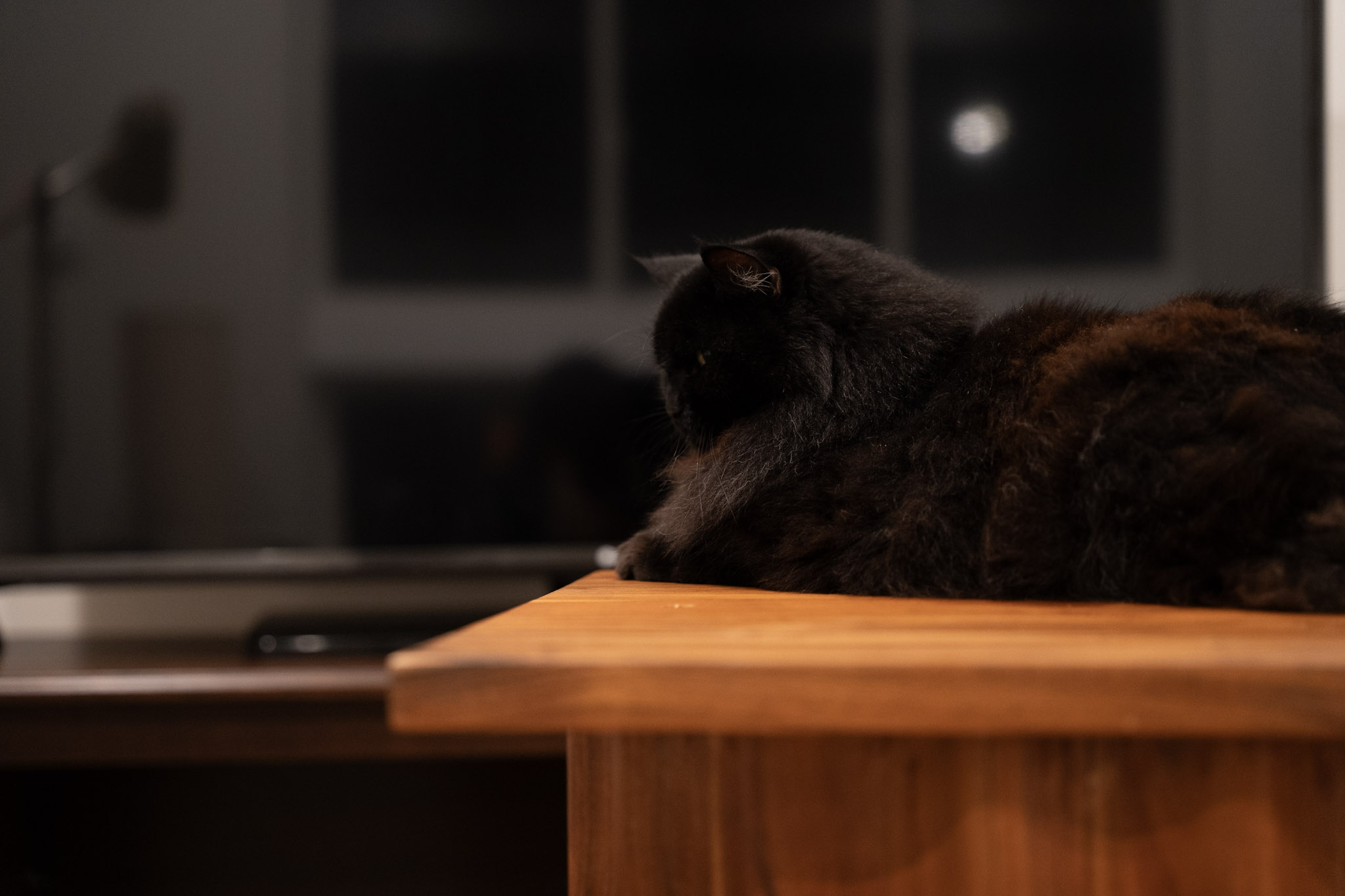 KitKat - foto 130