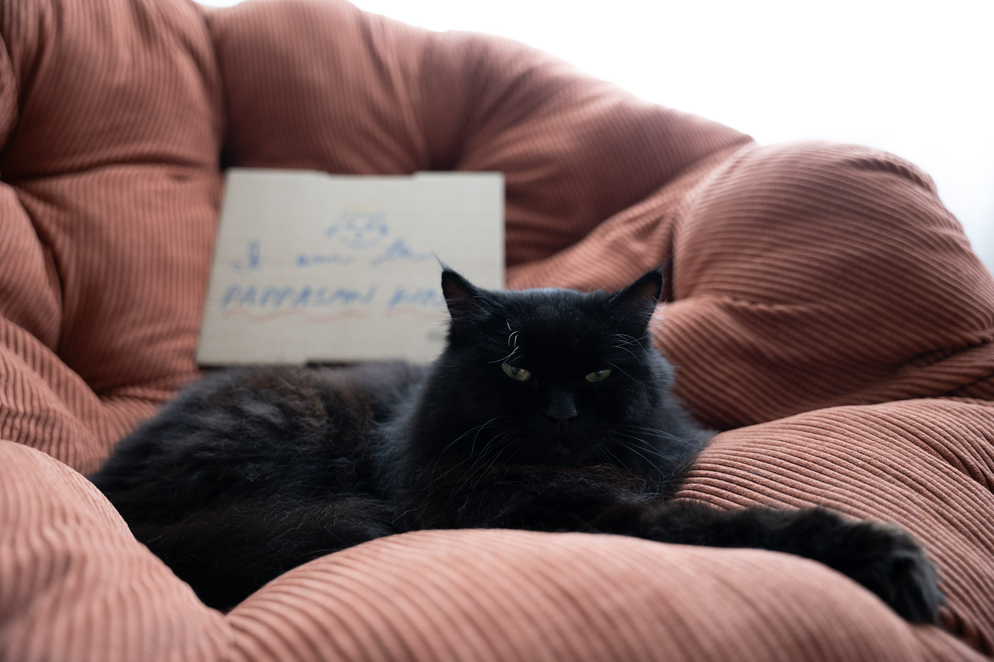 KitKat - foto 133