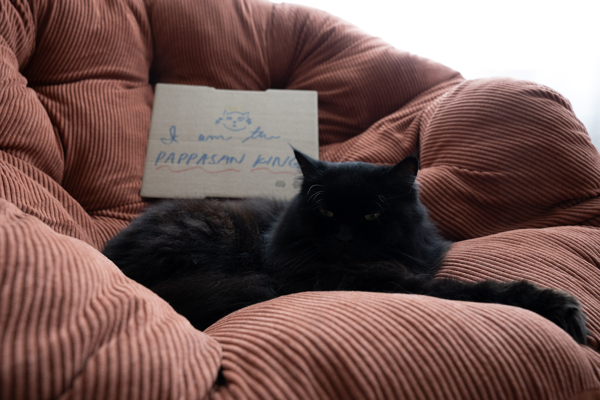 KitKat - foto 135