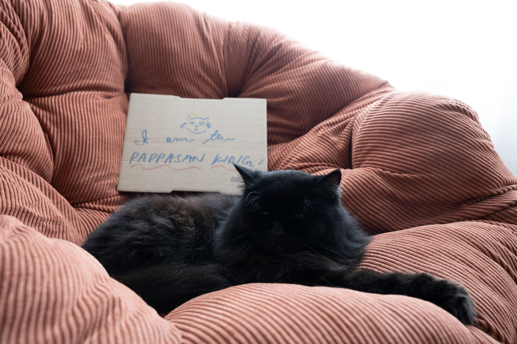 KitKat - foto 136