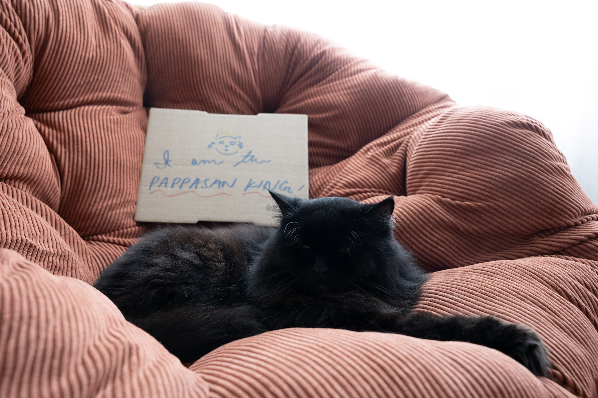 KitKat - foto 137