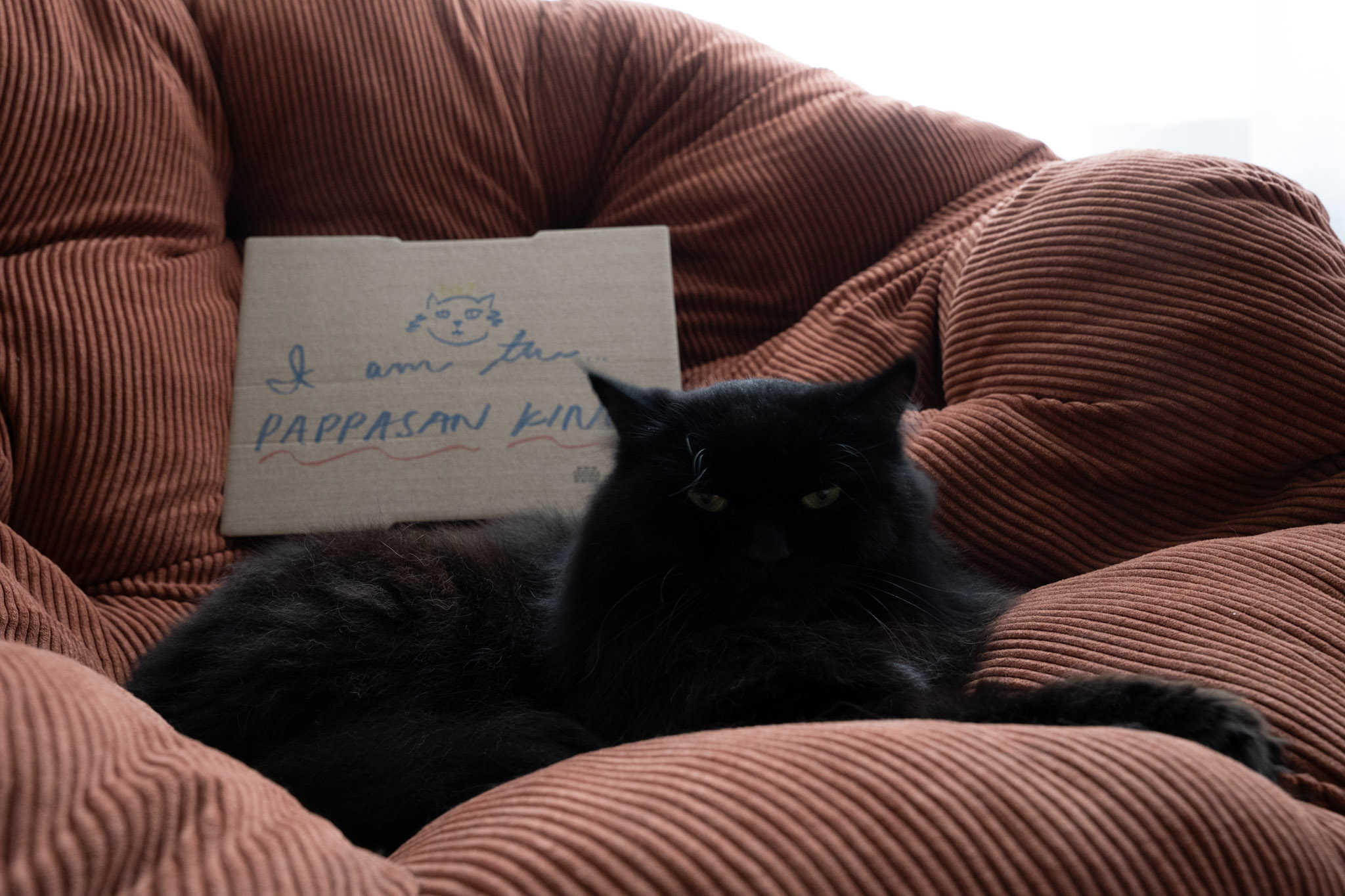 KitKat - foto 138
