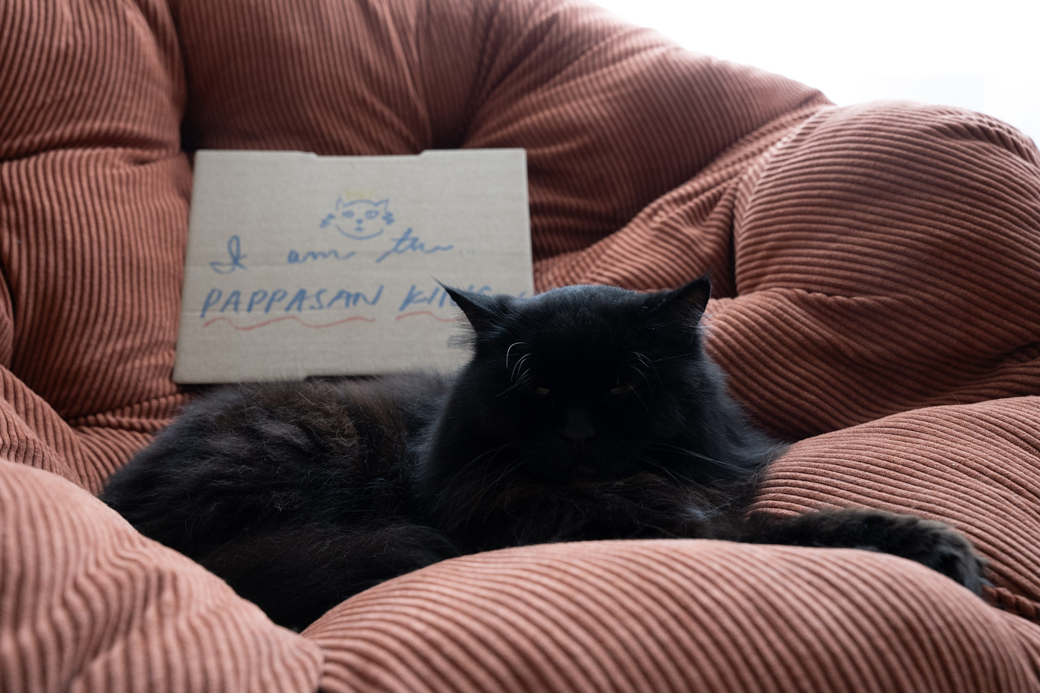 KitKat - foto 140