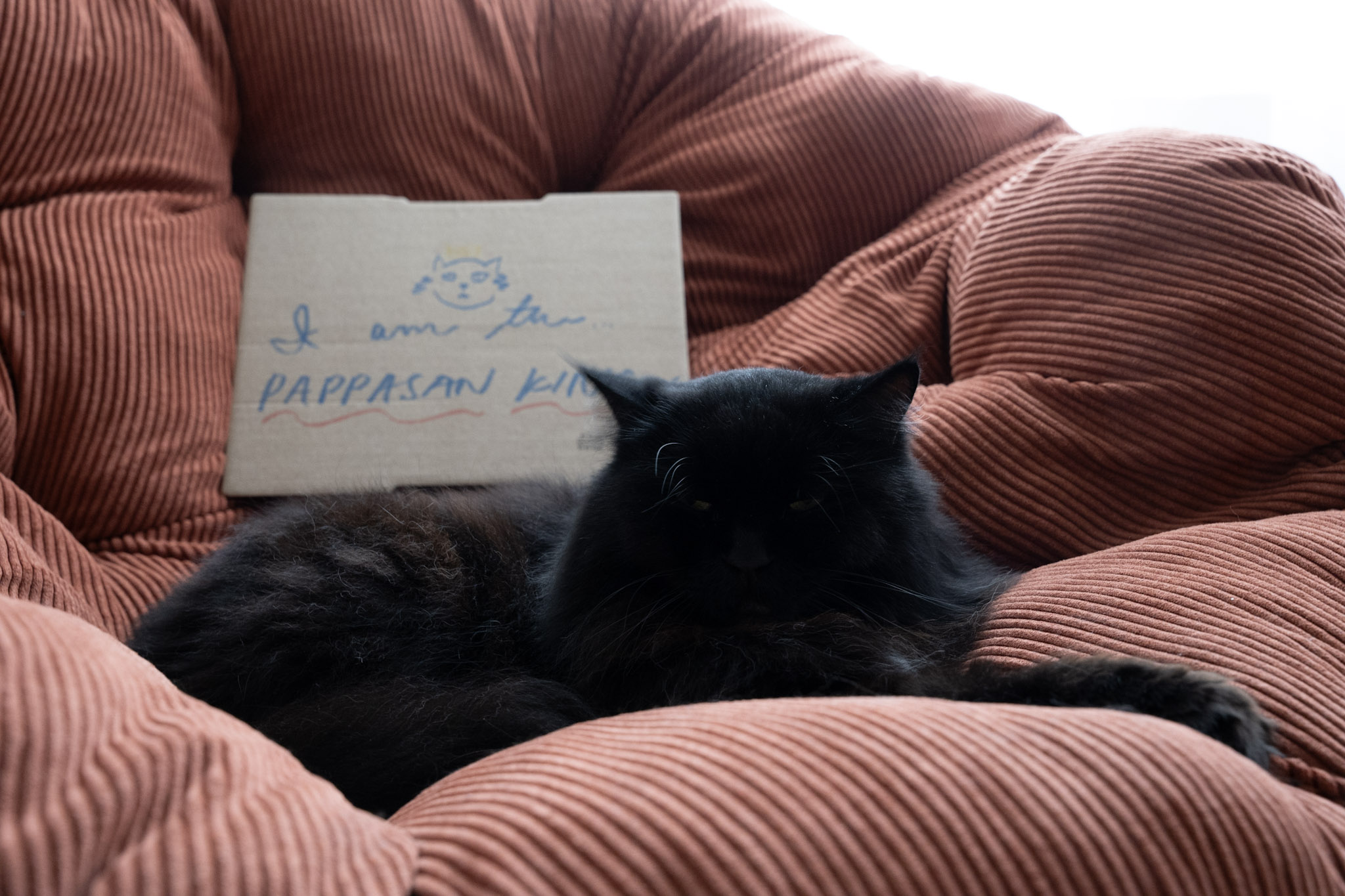 KitKat - foto 141