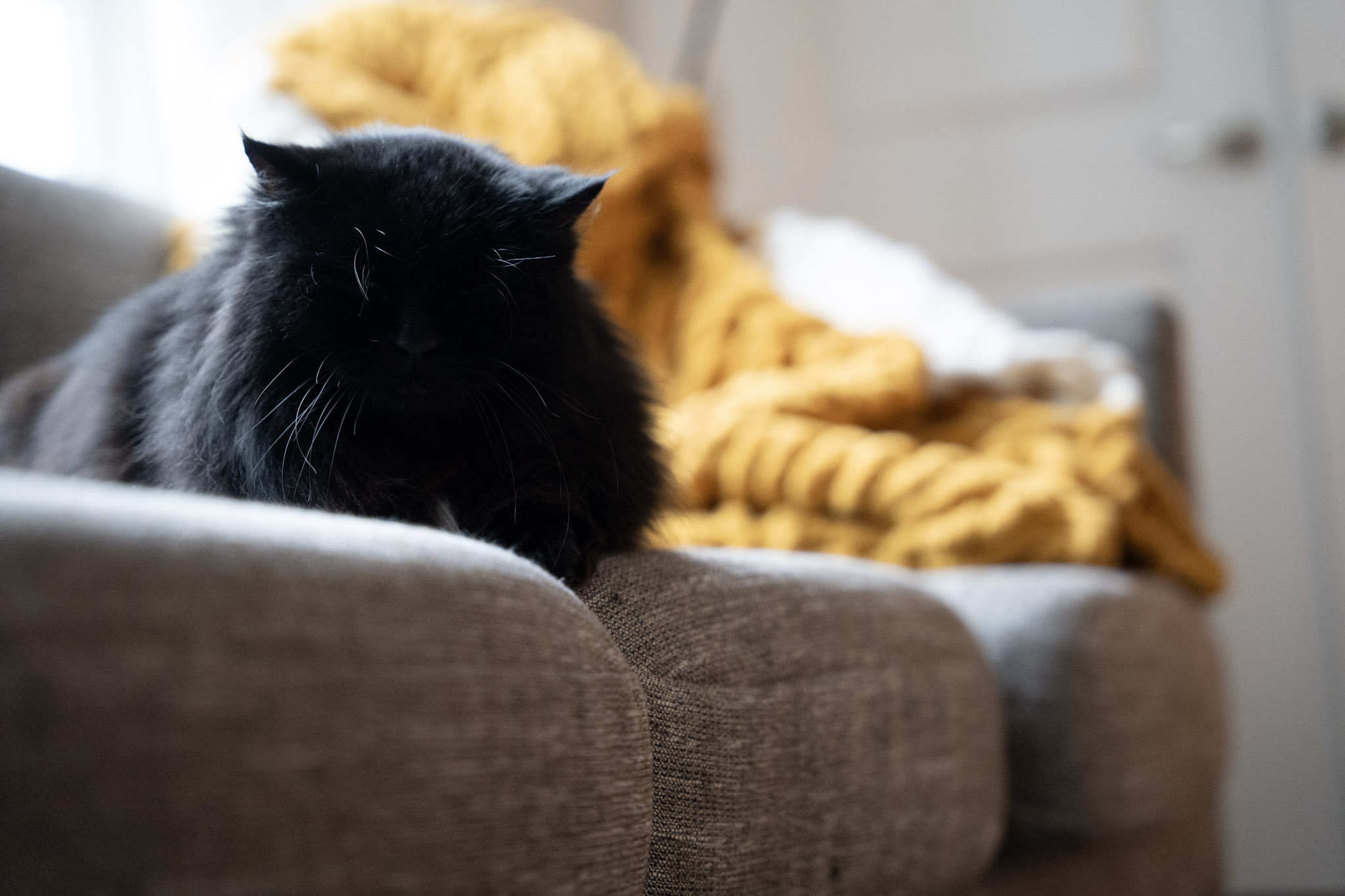 KitKat - foto 167