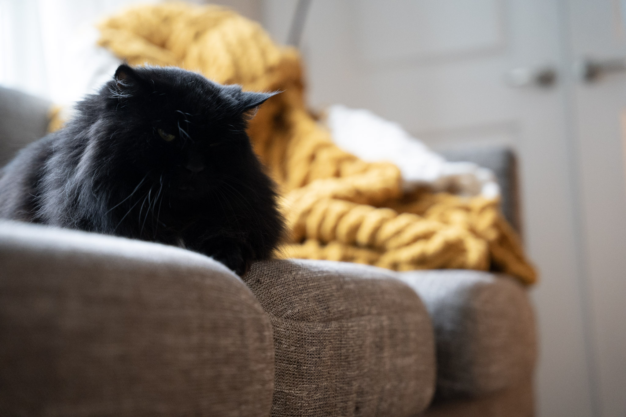 KitKat - foto 168