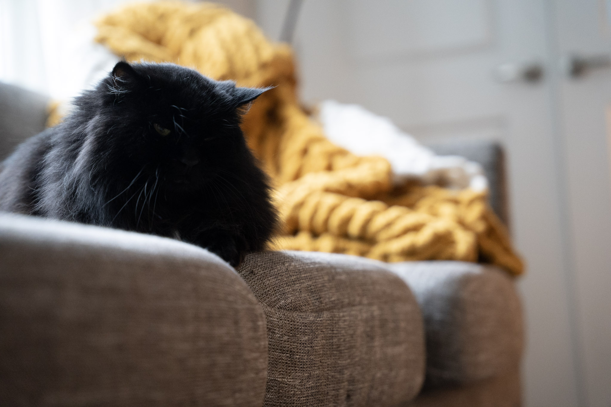 KitKat - foto 169
