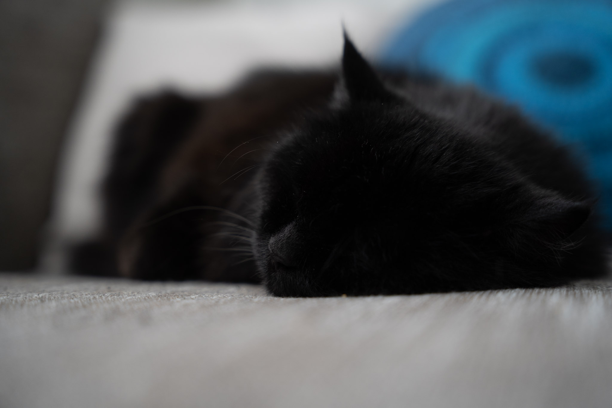 KitKat - foto 200